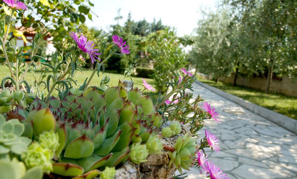 Holiday Home Magnolia Tar-Vabriga ห้อง รูปภาพ