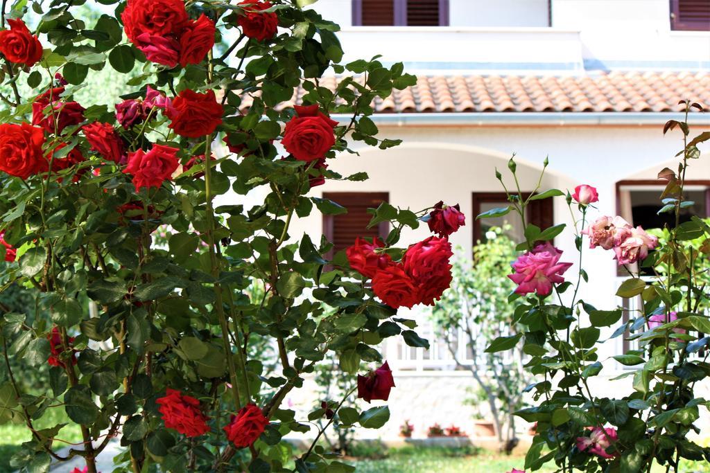Holiday Home Magnolia Tar-Vabriga ภายนอก รูปภาพ